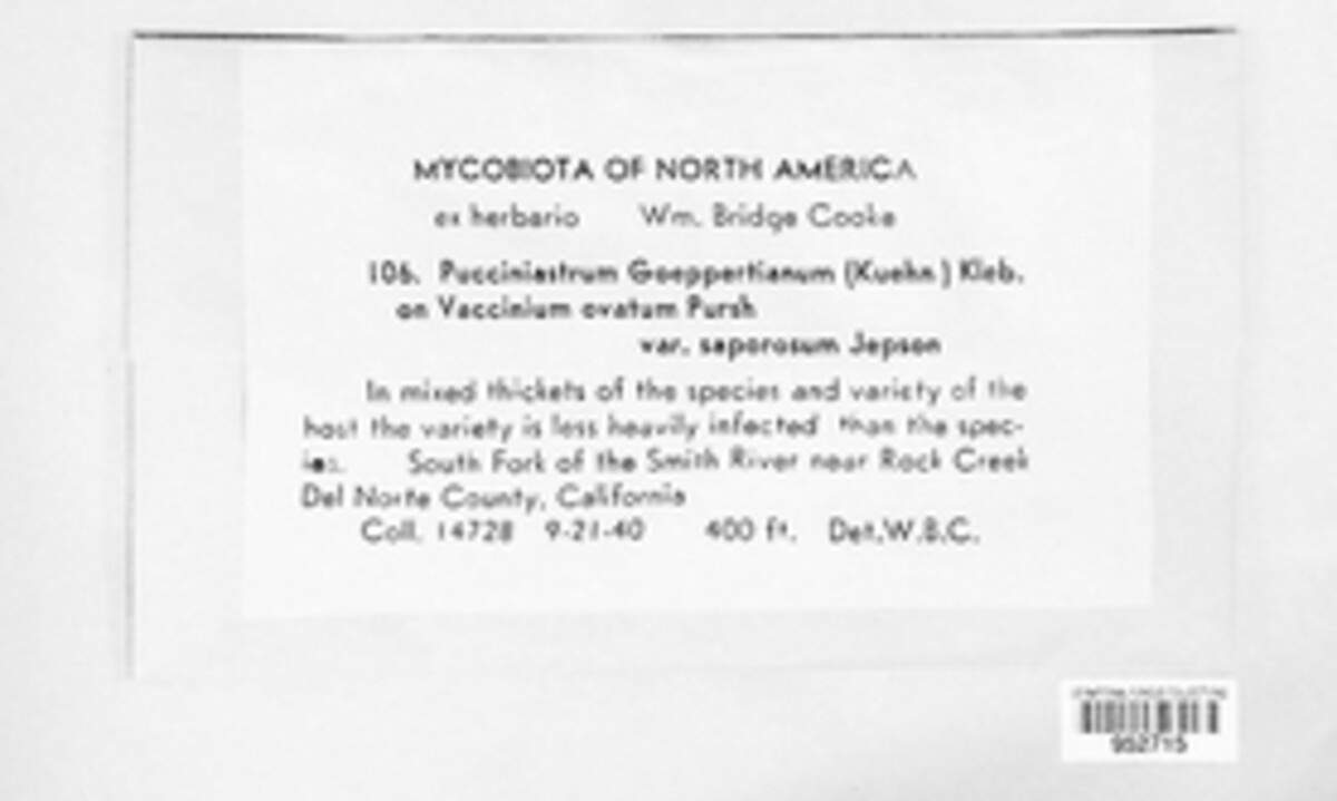 Calyptospora columnaris image
